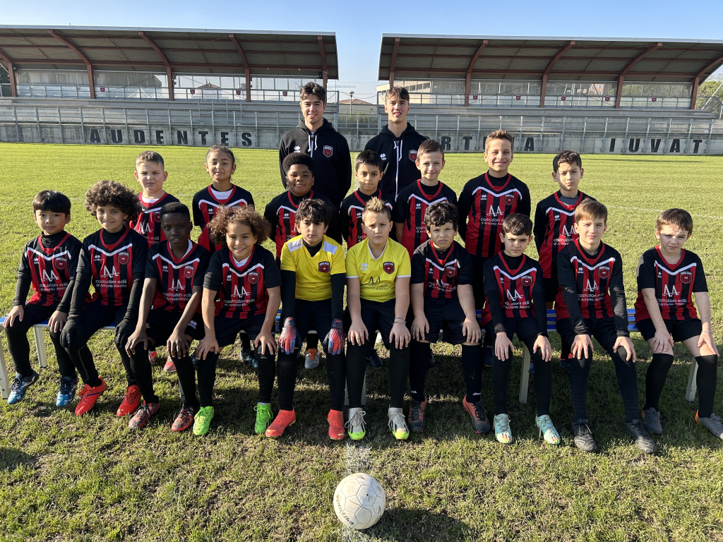 pulcini 2014